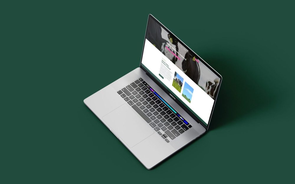 DWI Laptop1